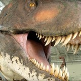 Branson Dinosaur Museum
