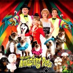 Amazing Pets Show