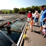 Shepherd of the Hills Fish Hatchery