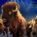 Stampede of the Buffalo!