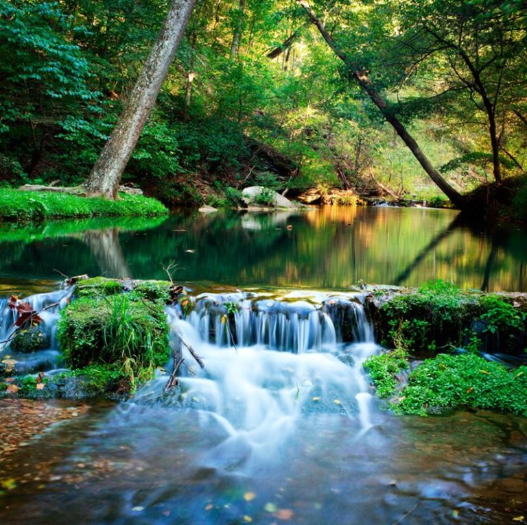 Dogwood Canyon - Branson, MO - Branson Travel Office