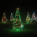 Beautiful Christmas Trees!