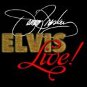 Elvis LIVE! Starring Jerry Presley