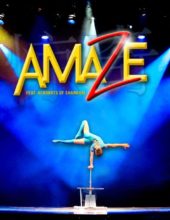 Amazing Acrobats Show Packages