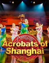 Amazing Acrobats of Shanghai