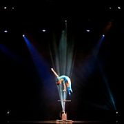 Amazing Acrobats Show Packages
