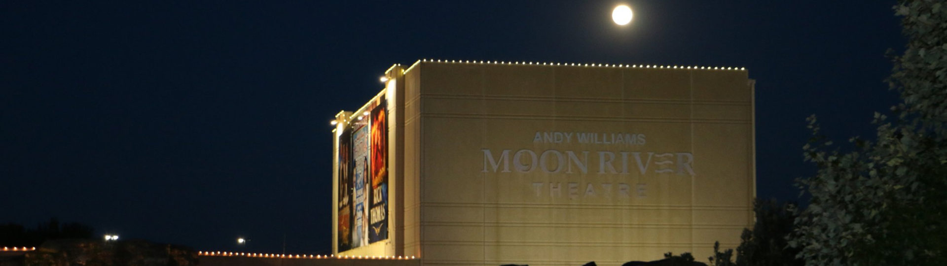 Andy Williams Theatre Branson Mo Seating Chart