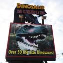 Branson Dinosaur Museum!