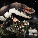 An Incredible Prehistoric Exhibit!