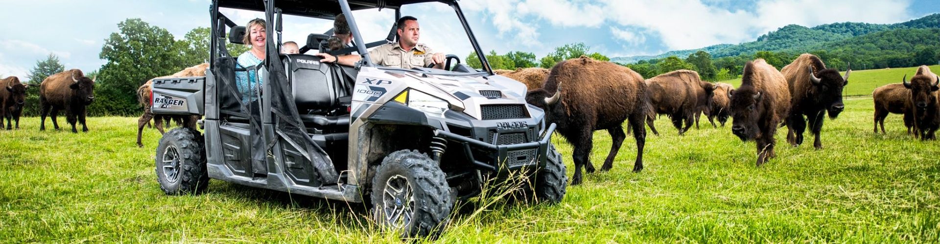 Promised Land Zoo in Branson expands with 65 acres of additional wildlife habitats, tram tours, and more.