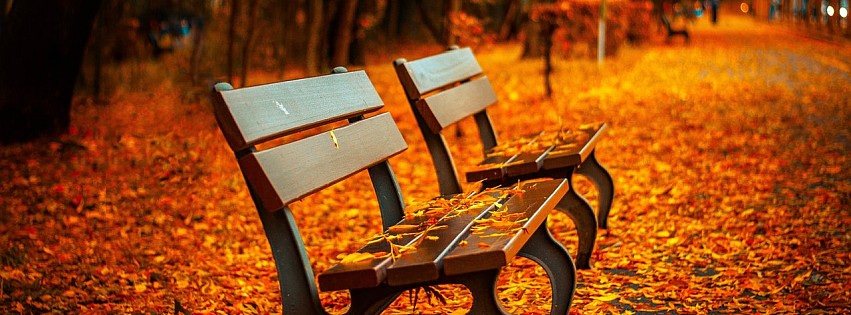 Park benches in the fall