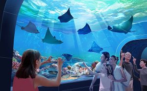 Aquarium at the Boardwalk to Open in Branson in 2020! - Branson Travel ...